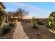 Landscaped backyard with winding brick pathway at 41348 N Congressional Dr, Anthem, AZ 85086