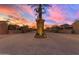 Gated community entrance with palm tree and elegant landscaping at 501 E Sunburst Ln, Tempe, AZ 85284