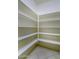 Spacious pantry with multiple shelving units for lots of storage at 11250 E Kilarea Ave # 252, Mesa, AZ 85209