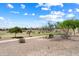 A scenic golf course view features native trees, desert plants and a paved walking path in the distance at 26822 W Oraibi Dr, Buckeye, AZ 85396