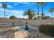 Backyard is desert landscaped with water feature and palm trees at 10309 E Twilight Ct, Sun Lakes, AZ 85248