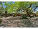Charming single-story home featuring desert landscaping with mature trees, cacti, and a gravel yard for easy maintenance at 4531 E Quartz Mountain Rd, Paradise Valley, AZ 85253
