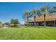 Expansive green lawn with palm trees and building view at 1342 E Verde Blvd, Queen Creek, AZ 85140