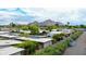 Community view showcasing mountain views and lush landscaping at 4216 N 38Th St # C, Phoenix, AZ 85018