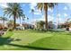 Putting green and palm trees in the backyard of a luxury home at 144 E Boca Raton Rd, Phoenix, AZ 85022