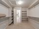 Large walk-in closet with shelves and access to another room at 319 E Palomino Way, San Tan Valley, AZ 85143