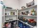 Well-organized pantry with ample shelving for food storage at 30052 N Desert Willow Blvd, San Tan Valley, AZ 85143