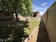 This backyard features a lush lawn, shade tree, and walkway, perfect for relaxation and outdoor activities at 5839 E Norwood St, Mesa, AZ 85215
