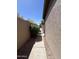 A private walkway showcases the landscaped side yard with decorative gravel and a lush bush at 5839 E Norwood St, Mesa, AZ 85215