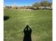 Green grassy community park with a walking path at 9814 E Palladium Dr, Mesa, AZ 85212