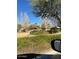 Landscaped park with a walking path and trees at 9814 E Palladium Dr, Mesa, AZ 85212