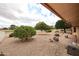 Well-manicured backyard featuring desert landscaping and mature trees, backing up to golf course at 13359 W Ballad Dr, Sun City West, AZ 85375