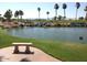 Serene lakefront view with palm trees and mountains in the background at 16807 W Berkeley Rd, Goodyear, AZ 85395