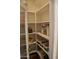 Walk-in pantry with ample shelving for storage at 4913 W Pedro Ln, Laveen, AZ 85339