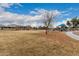 Park with grassy area and playground in background at 702 E Nancy Ave, San Tan Valley, AZ 85140