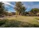 Large backyard with mature trees, lush grass, and rock landscaping at 4709 W Westcott Dr, Glendale, AZ 85308