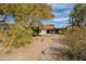 Spacious backyard with mature trees and desert landscaping at 4709 W Westcott Dr, Glendale, AZ 85308