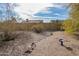 Desert landscaping and mature trees in this backyard at 4709 W Westcott Dr, Glendale, AZ 85308