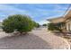 Spacious backyard with mature citrus trees and gravel landscaping at 10845 W Kaibab Dr, Sun City, AZ 85373