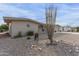 House exterior showcasing desert landscaping with cacti and gravel at 10845 W Kaibab Dr, Sun City, AZ 85373