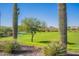 Scenic view of a desert landscape with cacti and a lush green lawn at 7067 W Maya Way, Peoria, AZ 85383