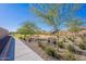 Landscaped walkway with desert plants and a view of a park at 7067 W Maya Way, Peoria, AZ 85383