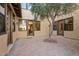 Private courtyard with brick pavers and a mature olive tree at 3428 N Park St, Buckeye, AZ 85396