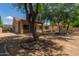Spacious backyard with desert landscaping, a covered patio, and a stucco exterior at 1231 W Hawken Way, Chandler, AZ 85286
