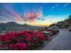 Bright pink bougainvillea and city views from paved patio area at 5800 E Glen Dr, Paradise Valley, AZ 85253