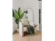 Cozy sitting area with comfy chair, throw, and plant at 6733 N 14Th St, Phoenix, AZ 85014