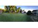 Expansive backyard featuring lush green lawn, mature trees, and ample space for outdoor activities at 10407 W Catalina Dr, Avondale, AZ 85392