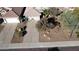 Aerial view of the house and surrounding landscape at 3212 E Desert Cove Ave, Phoenix, AZ 85028