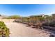Gravel backyard with desert landscaping and a mountain view at 8141 E Apache Plumb Dr, Gold Canyon, AZ 85118