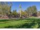 Landscaped lawn area with a large saguaro cactus and a pool view at 8141 E Apache Plumb Dr, Gold Canyon, AZ 85118