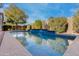 Inviting pool with waterfall feature, surrounded by lush landscaping at 2554 E Honeysuckle Pl, Chandler, AZ 85286