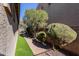 Landscaped walkway between buildings with artificial turf at 2554 E Honeysuckle Pl, Chandler, AZ 85286
