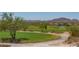 Scenic golf course view with beautiful desert landscaping and mountain views at 41716 N Laurel Valley Way, Anthem, AZ 85086