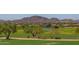 Expansive golf course view with beautiful landscaping and mountain backdrop at 41716 N Laurel Valley Way, Anthem, AZ 85086
