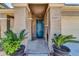 Teal front door entrance with columns and potted plants at 8953 W Townley Ave, Peoria, AZ 85345