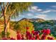 Landscaped backyard with mountain views and blooming bougainvillea at 11157 E Greenway Rd, Scottsdale, AZ 85255