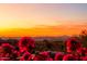 Captivating sunset view over city lights and distant mountains at 11157 E Greenway Rd, Scottsdale, AZ 85255