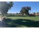 Expansive green fairway with mature trees and homes at 7950 E Keats Ave # 194, Mesa, AZ 85209
