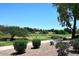 Scenic view of a well-manicured golf course with vibrant green fairways and mature trees at 5122 E Shea Blvd # 1117, Scottsdale, AZ 85254