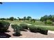 Scenic view of a well-manicured golf course with lush green fairways and mature trees at 5122 E Shea Blvd # 1117, Scottsdale, AZ 85254
