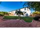Expansive backyard featuring green lawn, palm trees, and colorful desert landscaping at 135 E Julian Dr, Gilbert, AZ 85295