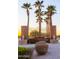 Westpark community entrance with palm trees and wrought iron gate at 25696 W Williams Ct, Buckeye, AZ 85326