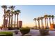 Westpark community entrance, palm trees and distant mountains at 25696 W Williams Ct, Buckeye, AZ 85326