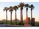 Westpark community entrance with palm trees and distant mountains at 25696 W Williams Ct, Buckeye, AZ 85326