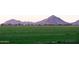Agricultural field with distant residential area and mountains at 25696 W Williams Ct, Buckeye, AZ 85326