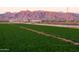 Agricultural field with mountains in the background at 25696 W Williams Ct, Buckeye, AZ 85326